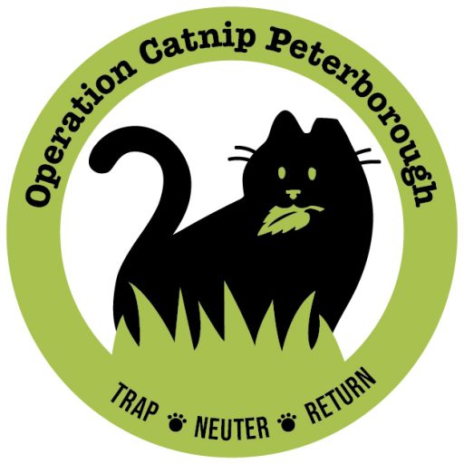 Operation Catnip Peterborough logo features a black cat with an ear tip holding a piece of catnip in it's mouth.
